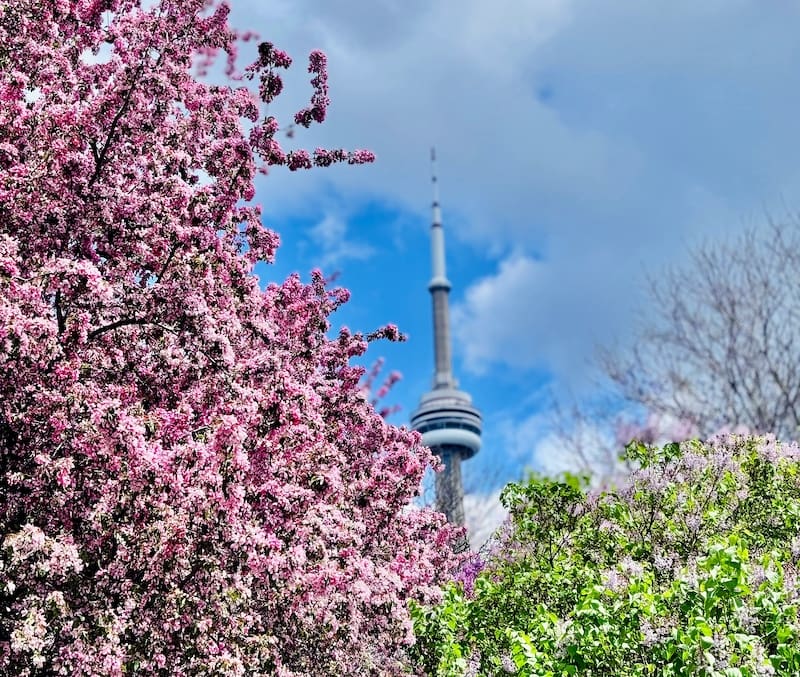 Shaping Up for the Spring Market