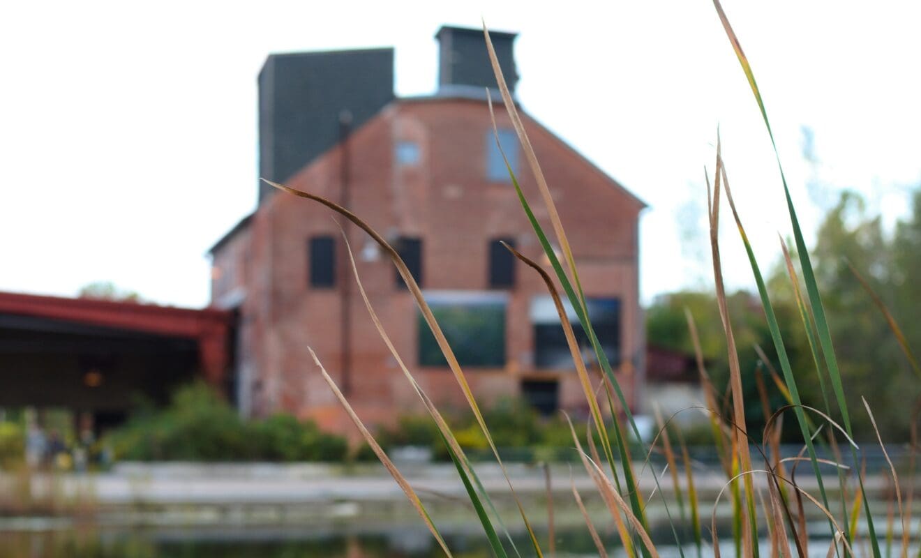 The Evergreen Brick Works, All Day Every Day!